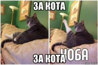 за кота за кота