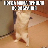 когда мама пришла со собрания 