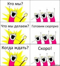 Кто мы?  Что мы делаем? Готовим сюрприз Когда ждать? Скоро!