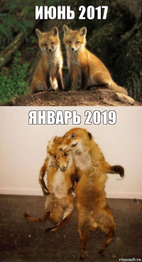 Июнь 2017 Январь 2019