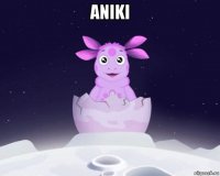 aniki 