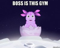 boss is this gym 