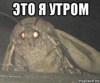 это я утром 