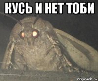 кусь и нет тоби 