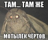 там... там же мотылёк чёртов