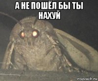 а не пошёл бы ты нахуй 