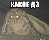 какое дз 