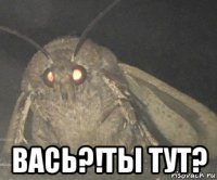  вась?!ты тут?