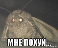  мне похуй...