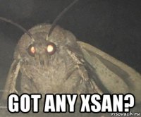  got any xsan?