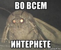 во всем интернете