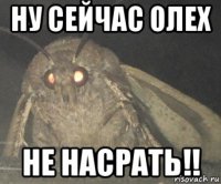 ну сейчас олех не насрать!!