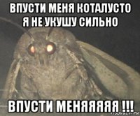 впусти меня коталусто я не укушу сильно впусти меняяяяя !!!