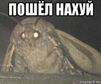 пошёл нахуй 