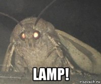  lamp!