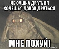 че сашка драться хочешь? давай драться мне похуй!