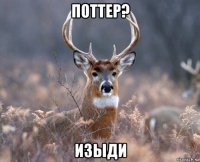 поттер? изыди