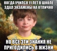 когда учился 11 лет в школе здал экзамены на отлично но все эти знания не пригодились в жизни