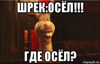 шрек:осёл!!! где осёл?