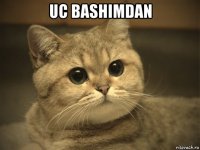 uc bashimdan 