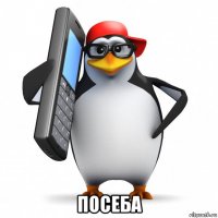  посеба