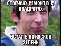 отвечаю, ремонт в 15 квадратах встал в 60 кусков зелени