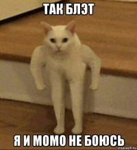 так блэт я и момо не боюсь