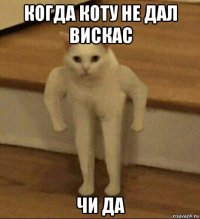 когда коту не дал вискас чи да