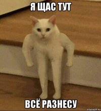 я щас тут всё разнесу