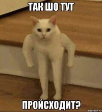 так шо тут пройсходит?