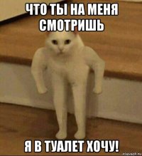 что ты на меня смотришь я в туалет хочу!