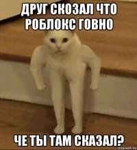 друг скозал что роблокс говно че ты там сказал?