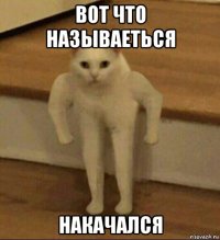 вот что называеться накачался