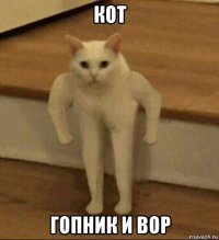 кот гопник и вор