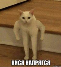  кися напрягся