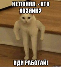 не понял, - кто хозяин? иди работай!