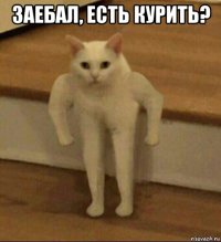 заебал, есть курить? 