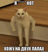 я ****** кот хожу на двух лапах