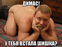 димас! у тебя встала шишка?