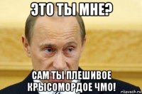 это ты мне? сам ты плешивое крысомордое чмо!