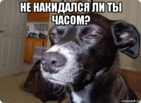 не накидался ли ты часом? 