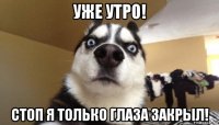 уже утро! стоп я только глаза закрыл!