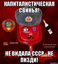 капиталистическая свинья! не видала ссср - не пизди!