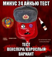 минус 24 айкью тест тест векслера/взрослый вариант