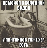 не мойся в холодной воде !! у пингвинов тоже хер есть