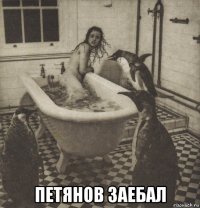  петянов заебал