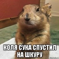  коля сука спустил на шкуру