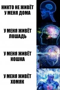 никто не живёт у меня дома у меня живёт лошадь у меня живёт кошка у меня живёт хомяк