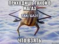 приходишь такой в магаз что взять