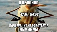 я не понял почему чит не работает ? ммммммм